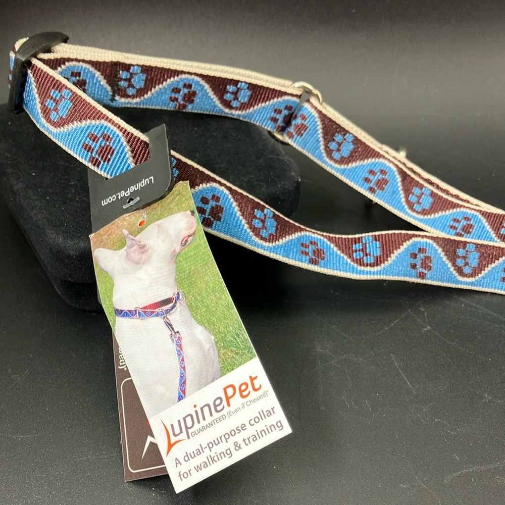 LupinePet Martingale Dog Collar